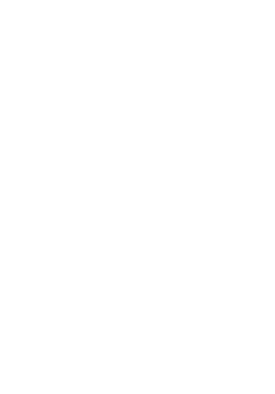 Logo USVB monochrome
